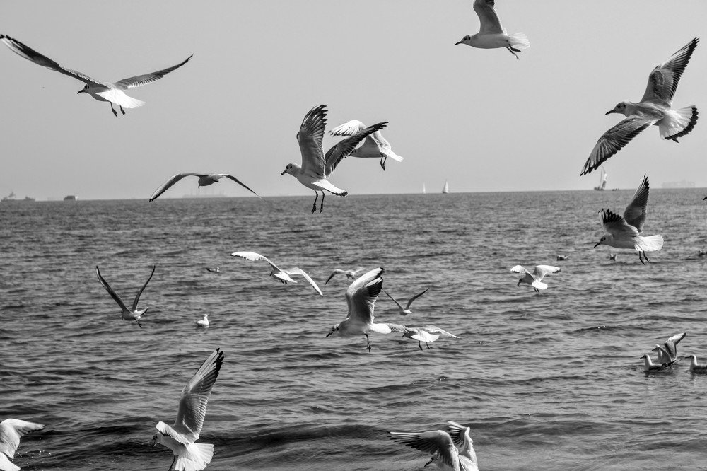 Photograph by Денис Лащ