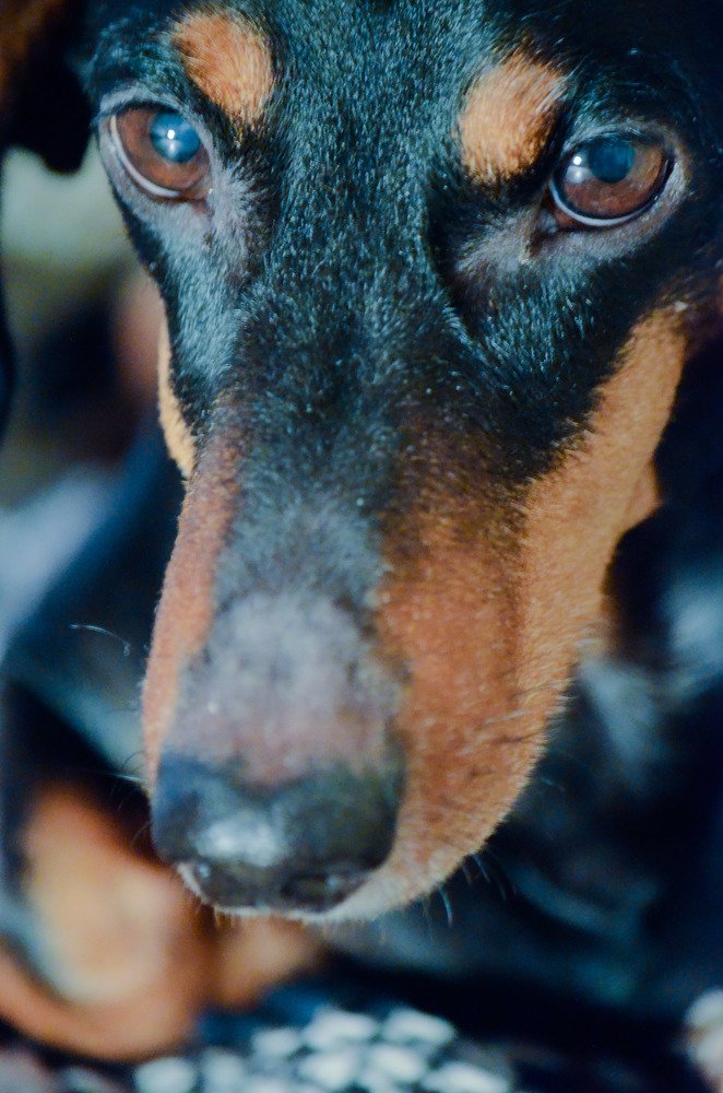 Photograph by Наталья Скиданова