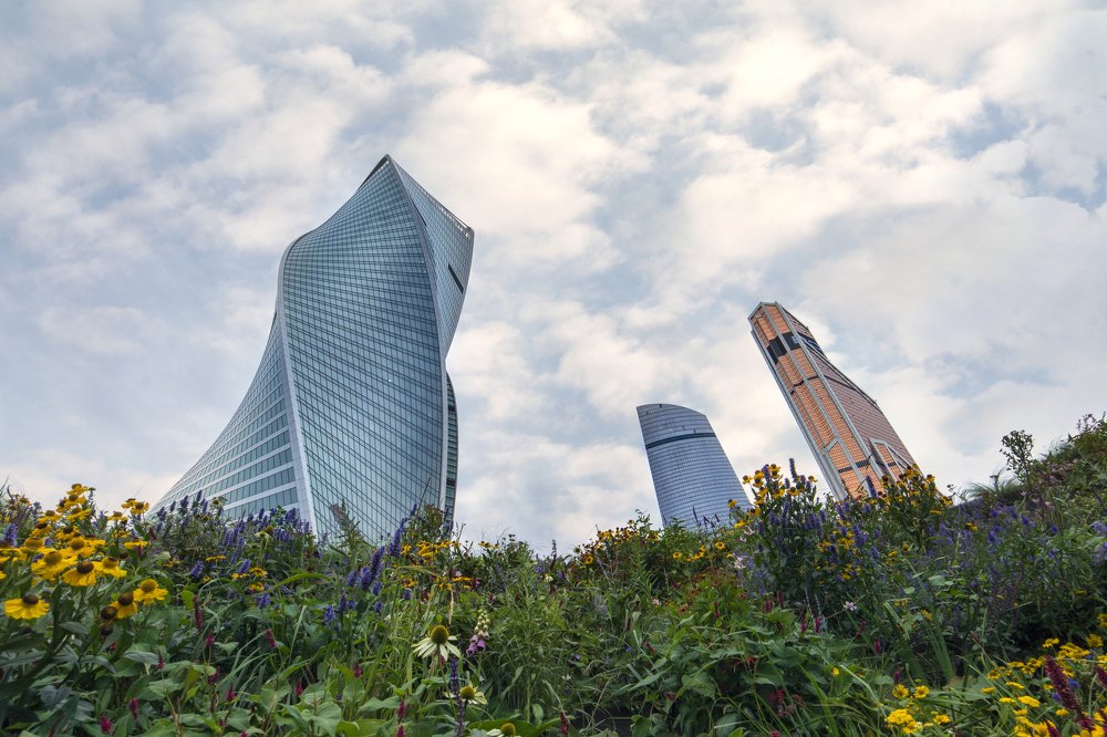 Среди цветов