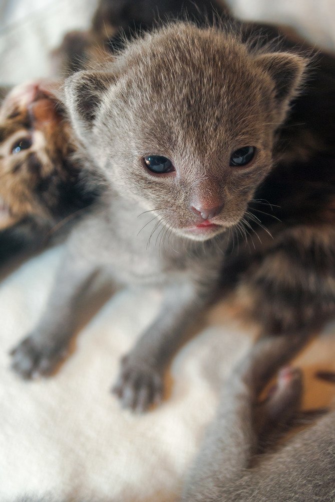 Photograph by Наталья Скиданова