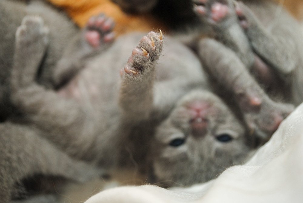 Photograph by Наталья Скиданова