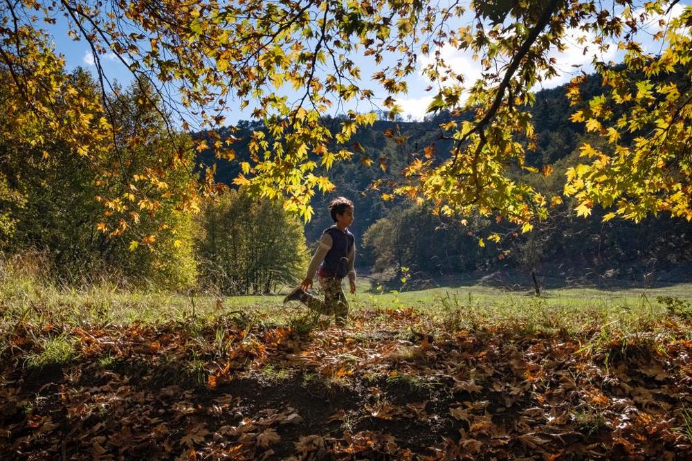 Photograph by Dogan Ozezgi