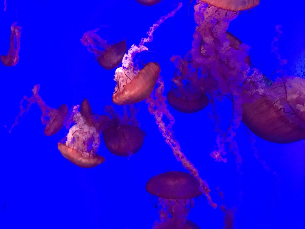 Photograph by manucorredoral@gmail.com