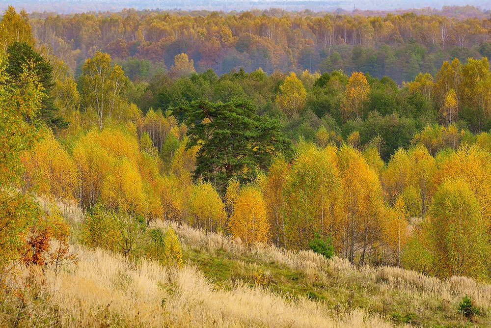 Photograph by Эдуард Шадров