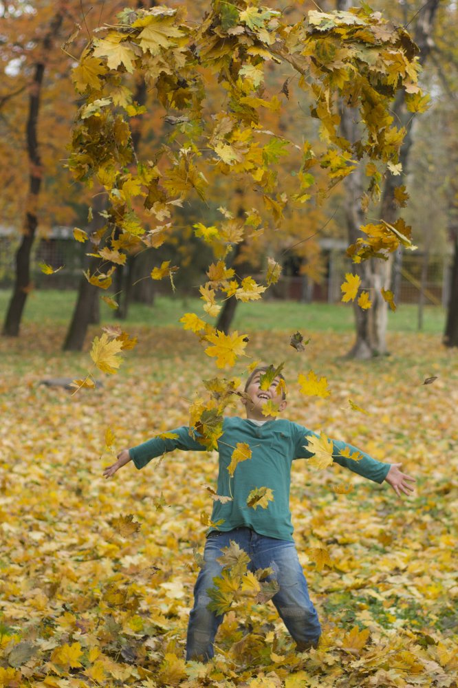 Photograph by Predrag Kostin