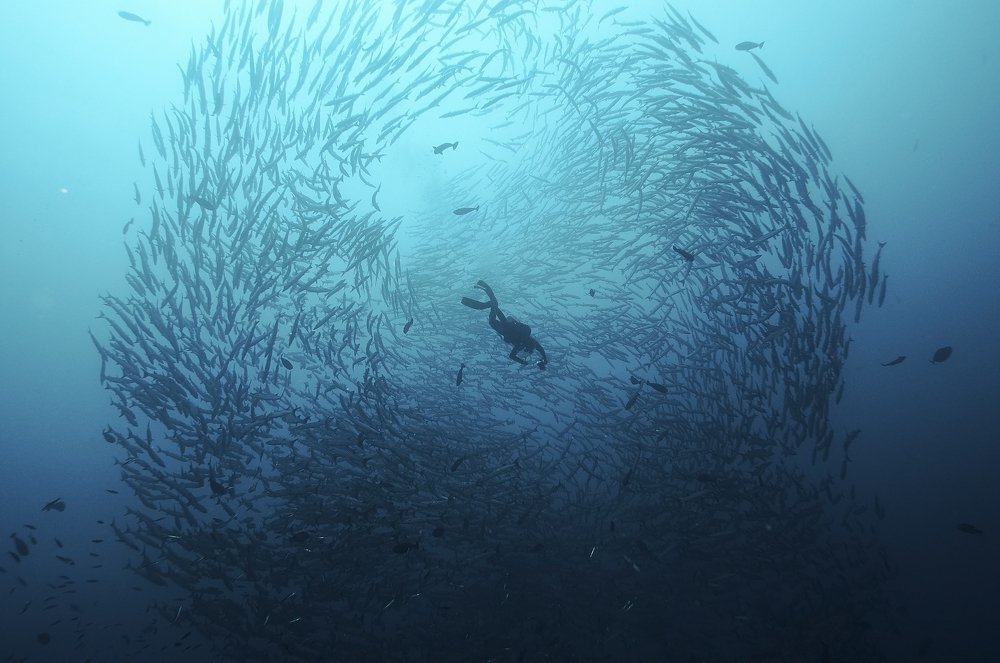 Photograph by Димитрий Евтушик