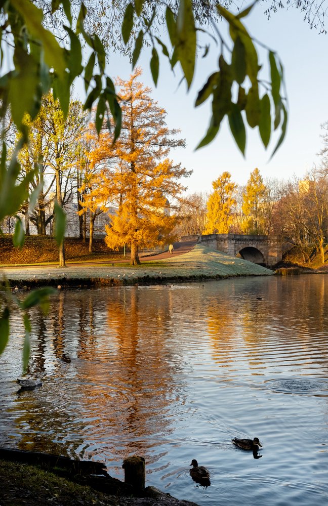 Ноябрь в Гатчине