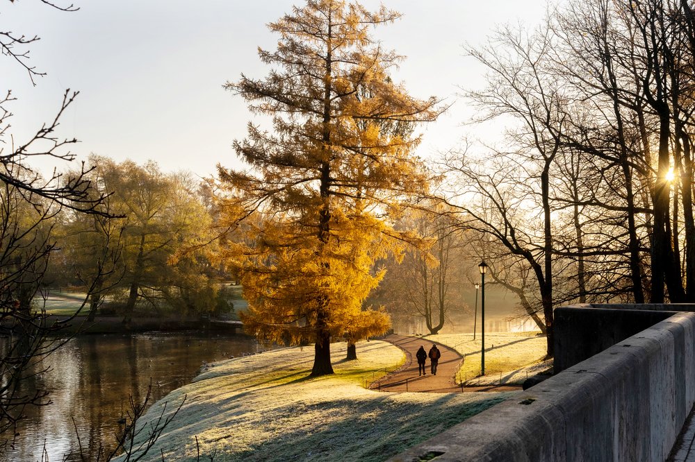 На работу утром, по звенящей красоте Гатчинского парка