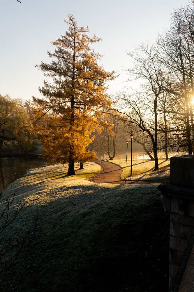 Звенящее осеннее утро в Гатчинском парке