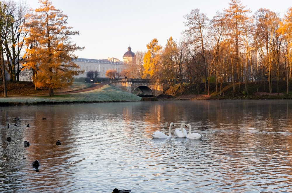 Photograph by Антонина Шкарпетина