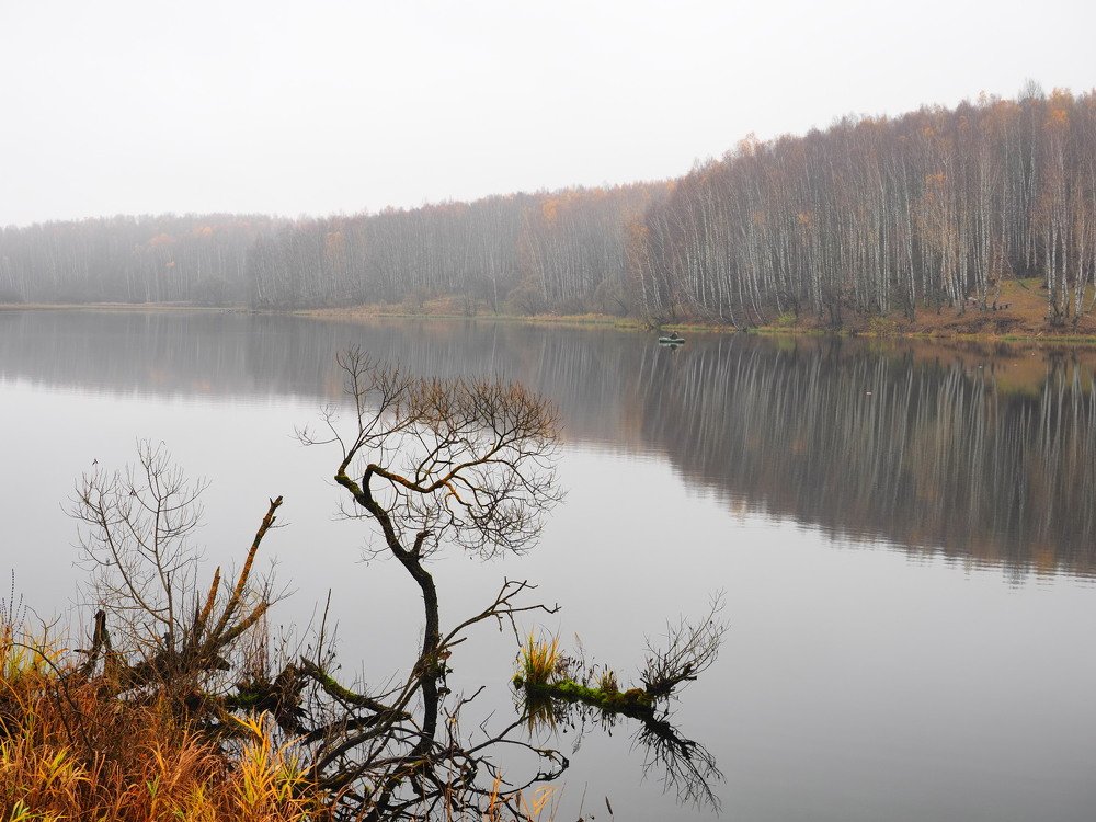 Photograph by Виктор Комиссаров