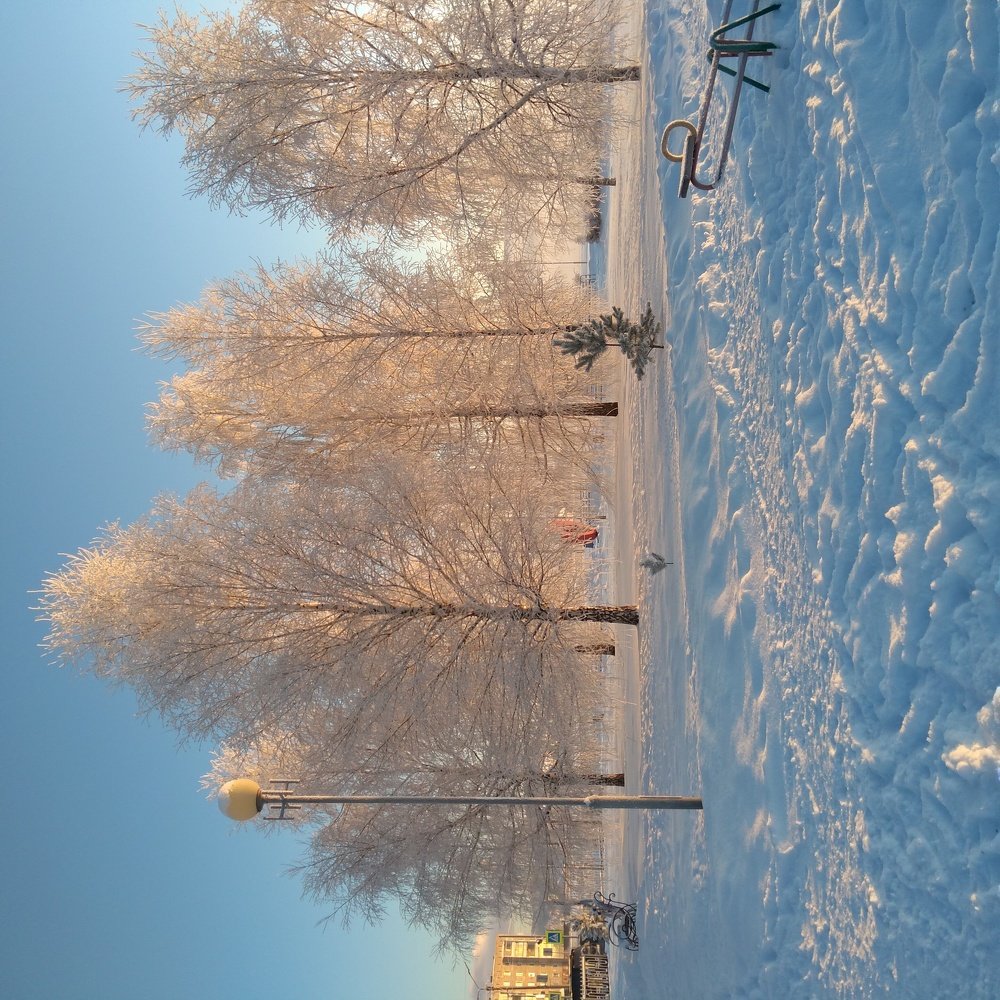 Photo #5177972