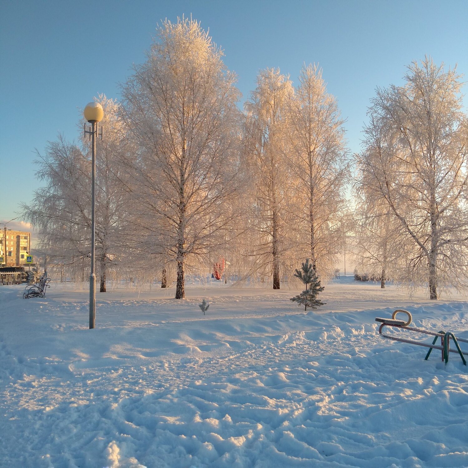Photo #5177972