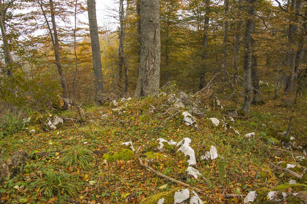 Photograph by Predrag Kostin