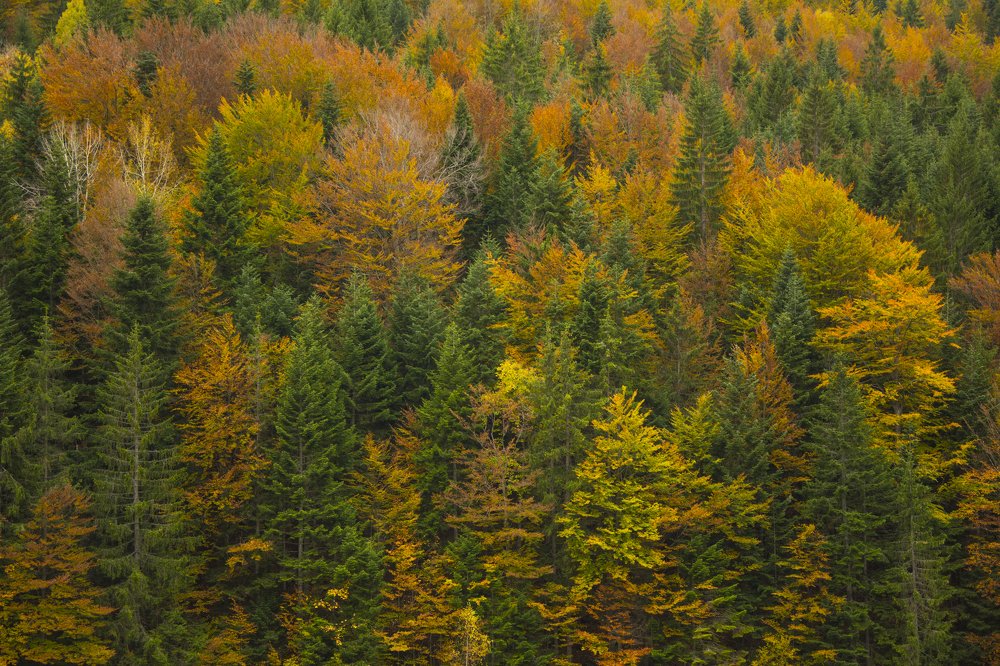 Photograph by Predrag Kostin