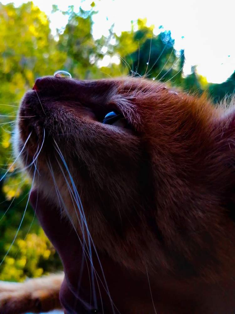 Photograph by Дильнора Кривенцева