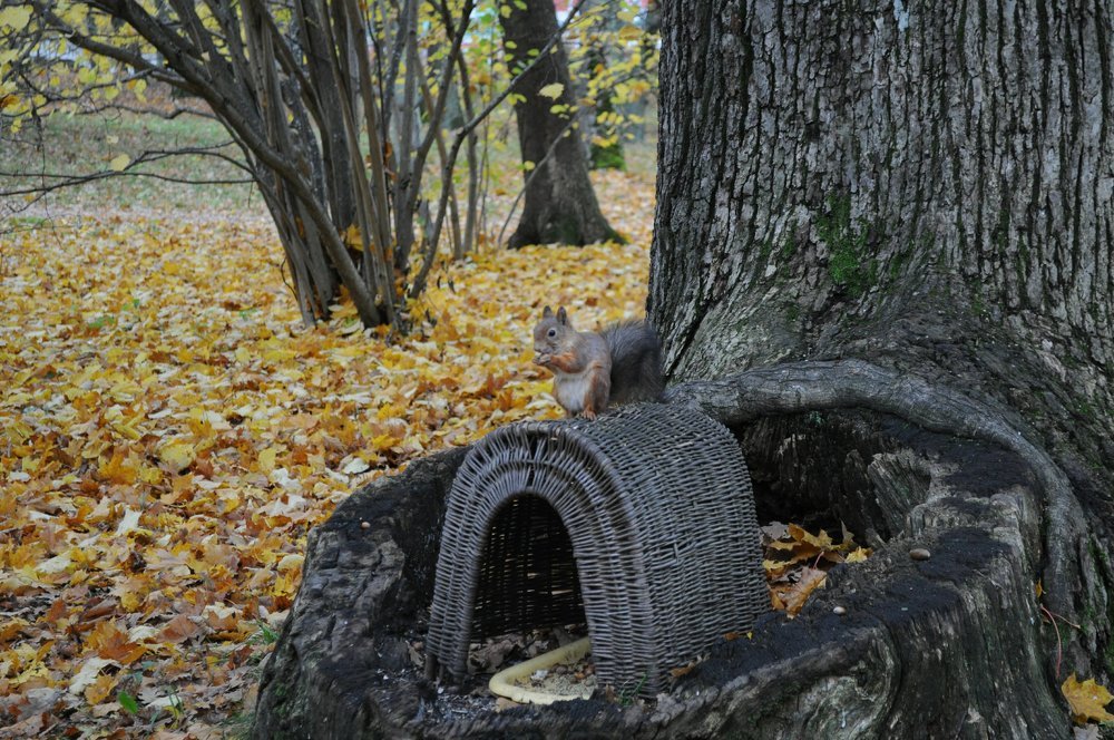 Photograph by Дмитрий Шарый