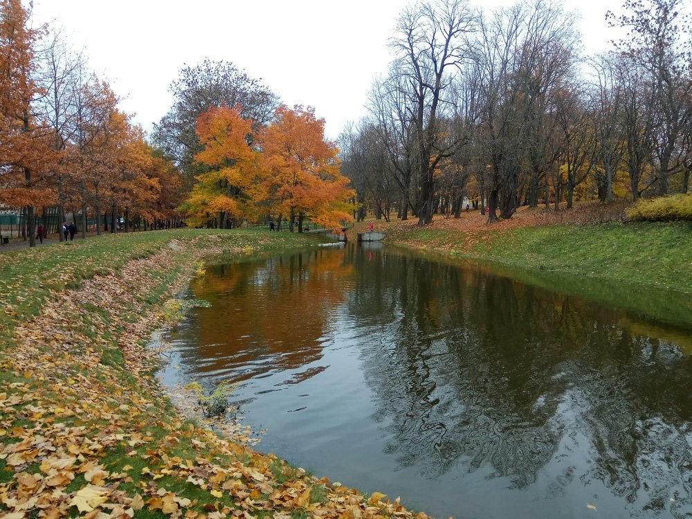 Photograph by Дмитрий Шарый