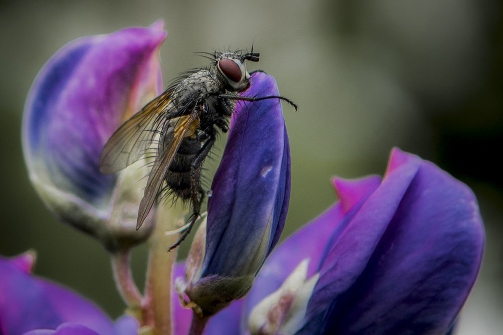 Photograph by Игорь Смирнов