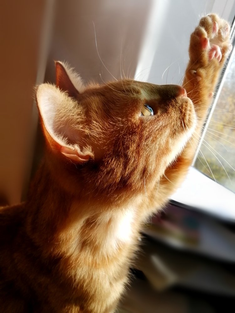 Photograph by Дильнора Кривенцева