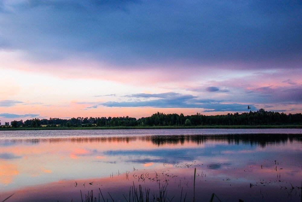 Фотография автора Александр Буренко