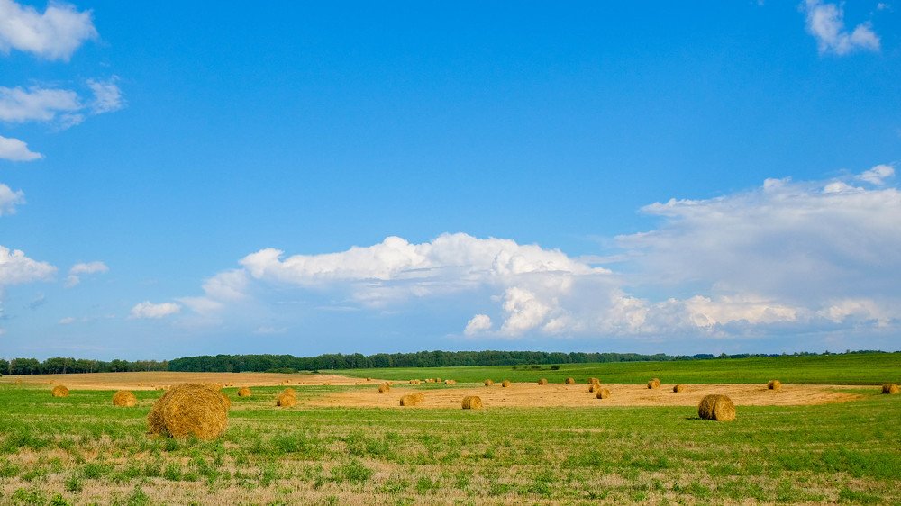 Фотография автора Александр Буренко