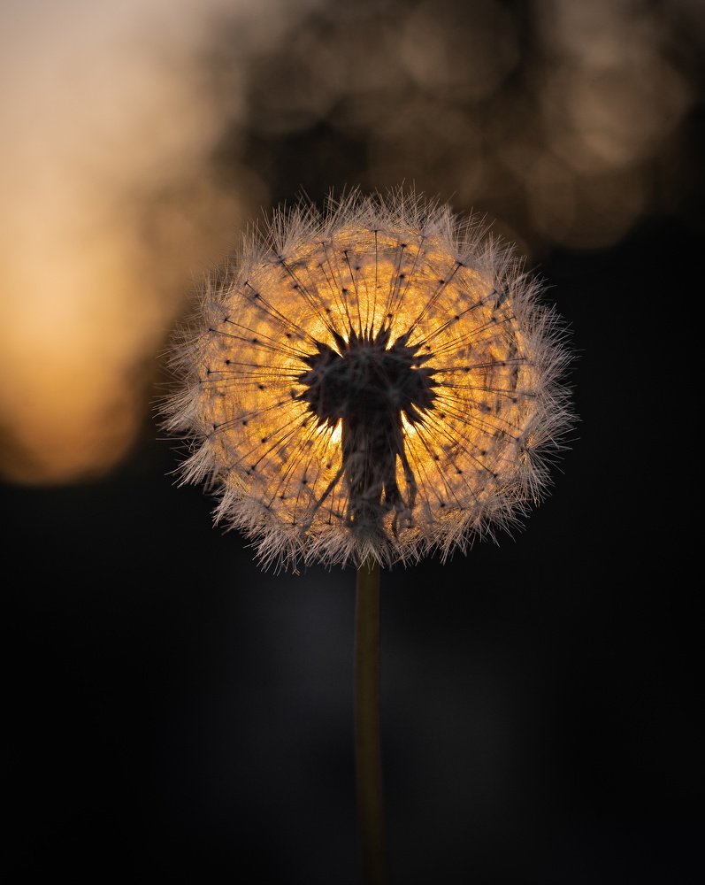 Photograph by Сергей Басов