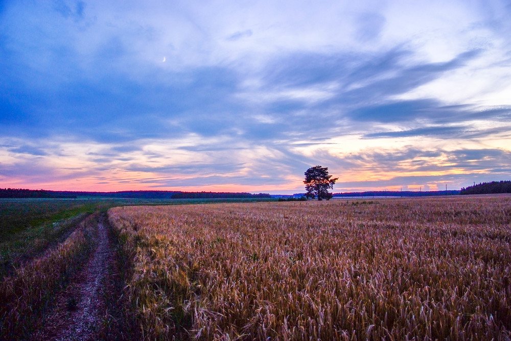 Фотография автора Александр Буренко