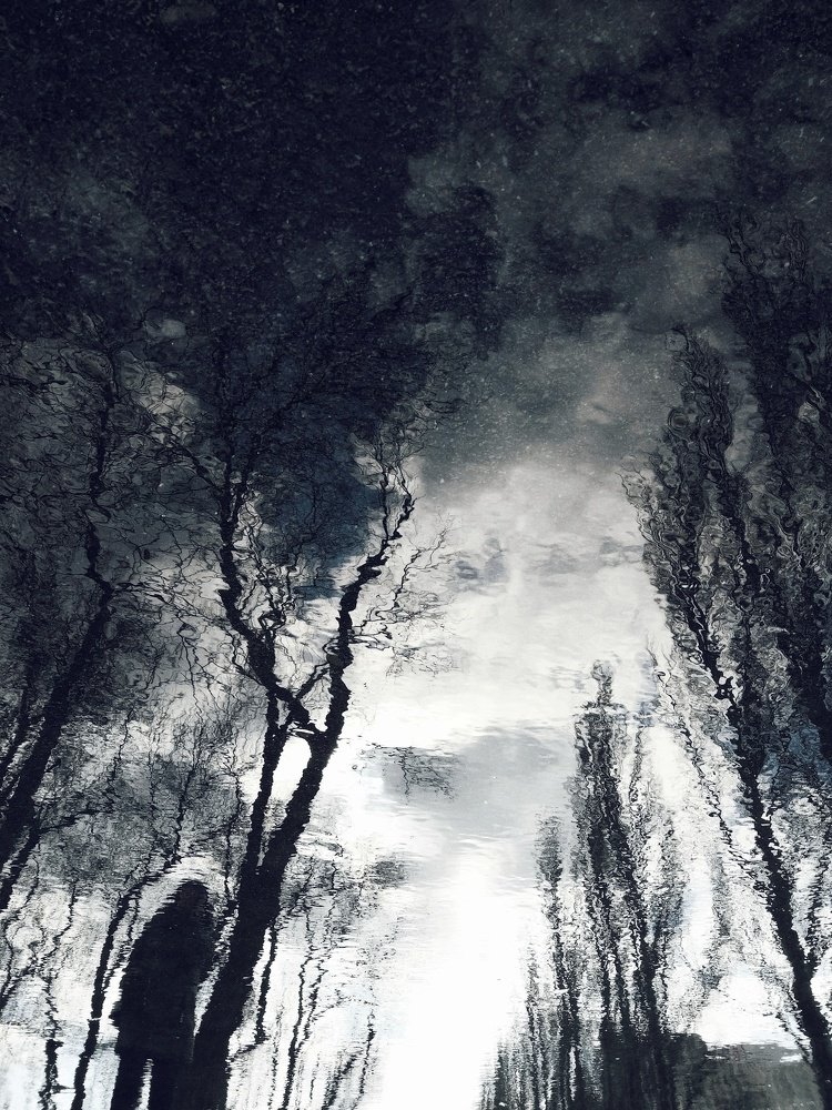 Photograph by Екатерина Мишина