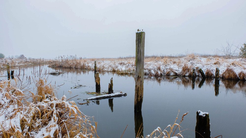 Фотография автора Александр Буренко