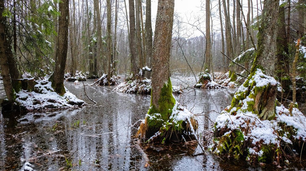 Фотография автора Александр Буренко