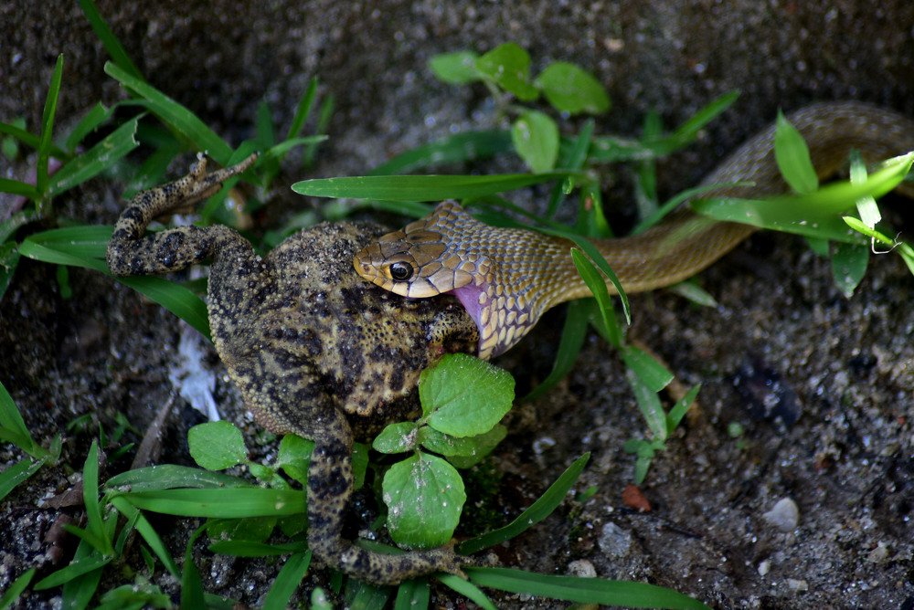 Photograph by Monika Malla