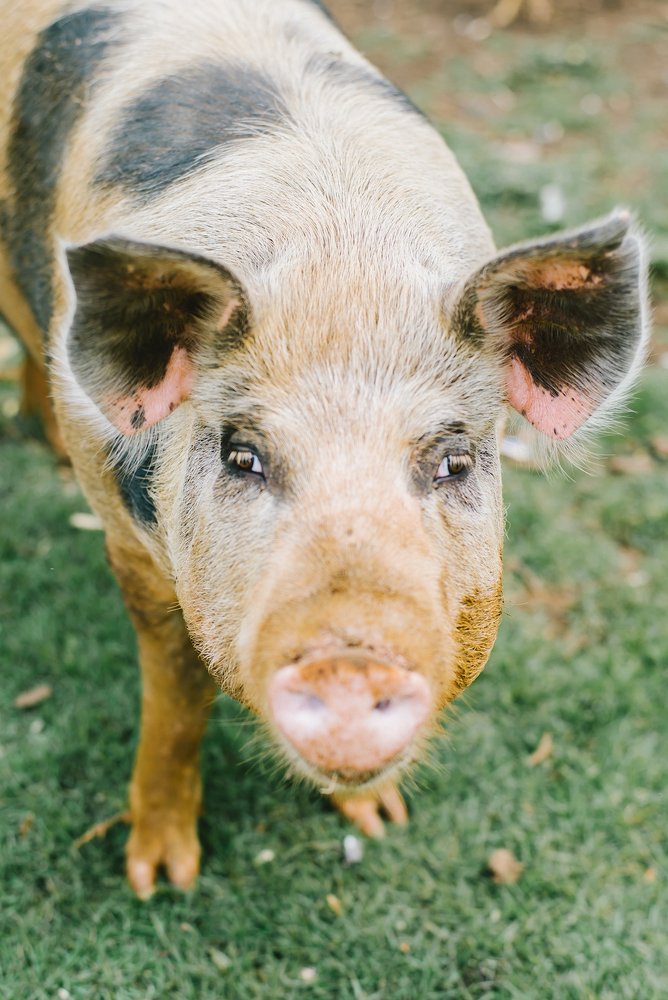 Photograph by Анна Куманцова