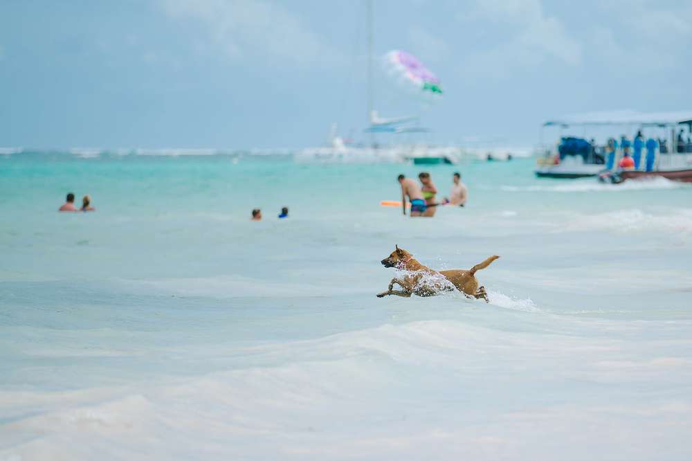 Photograph by Анна Куманцова