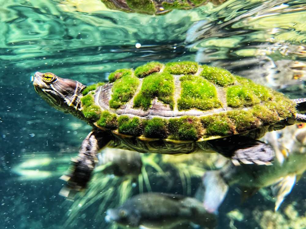 Photograph by Анна Куманцова