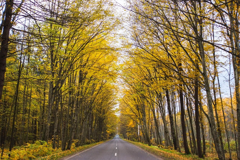 Фотография автора Александр Буренко
