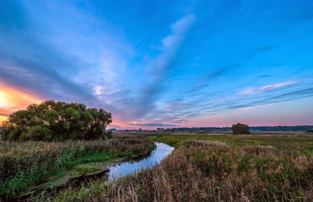 Фотография автора Александр Буренко