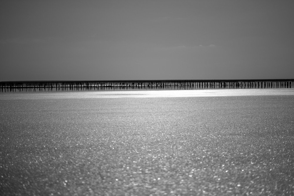 Photograph by Ірина Дрок