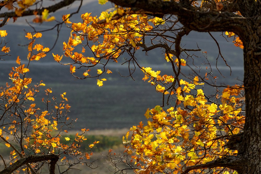 Photograph by Владислав Никишин