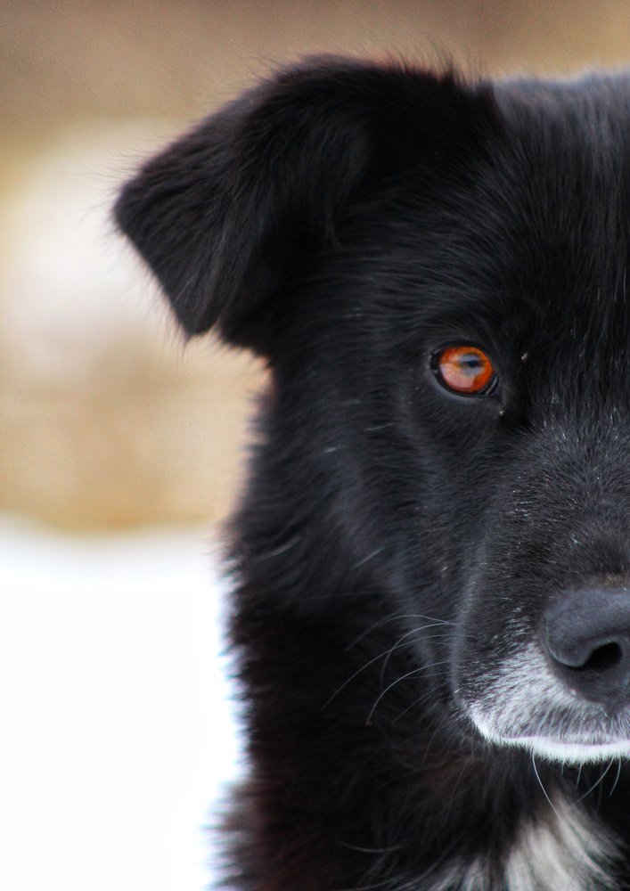 Photograph by Наталья Горбачева