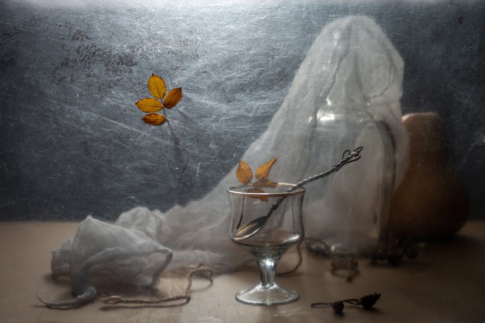 Photograph by 