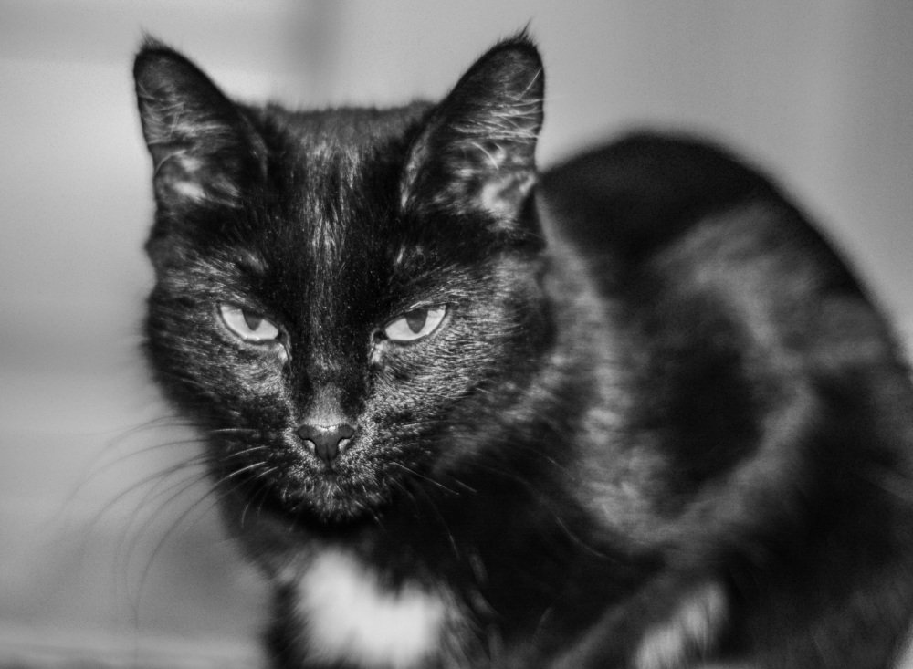 Photograph by Александр Аношкин