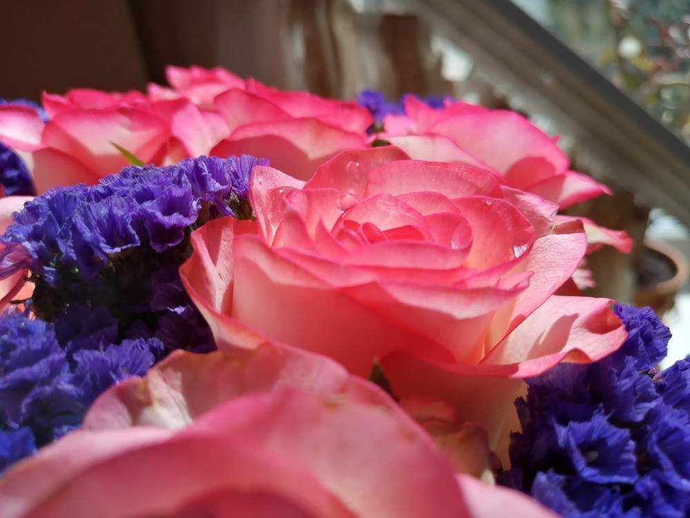 Photograph by Дильнора Кривенцева