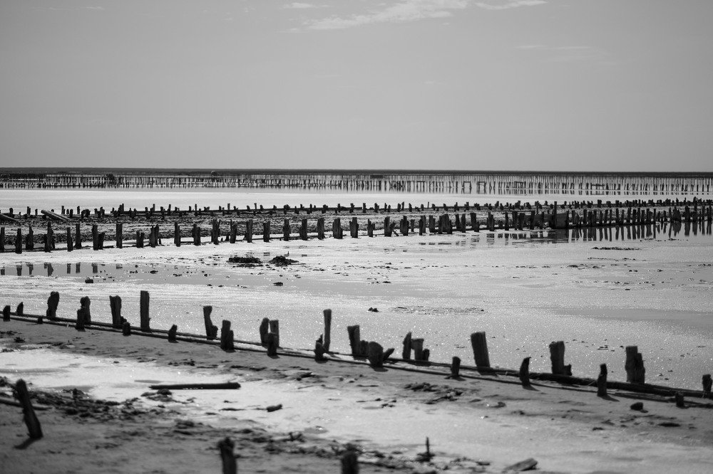 Photograph by Ірина Дрок