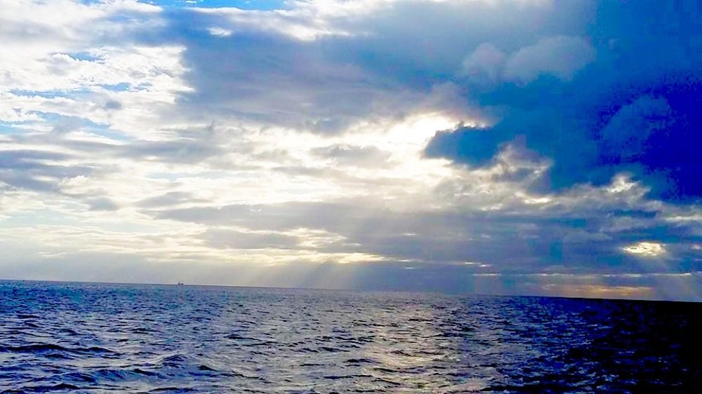 Photograph by Sharmene Sumalbag