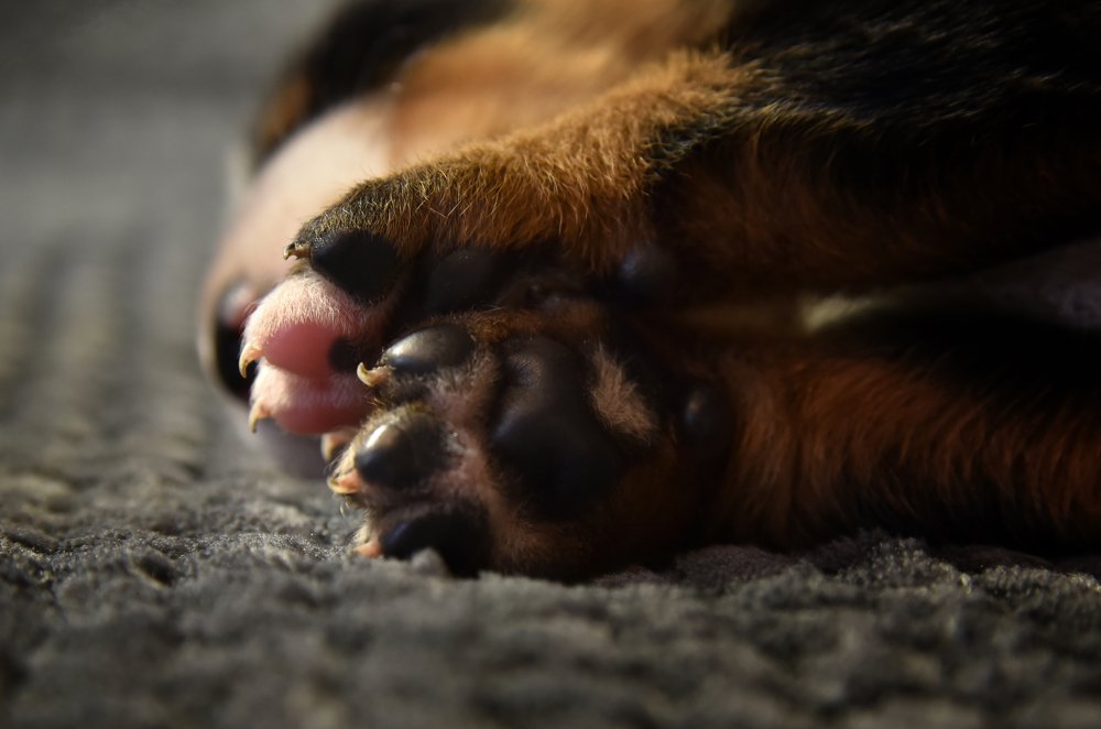 Photograph by наталья залогина