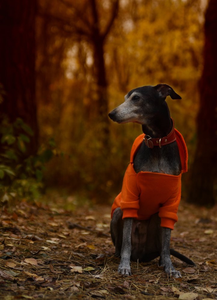 Photograph by наталья залогина