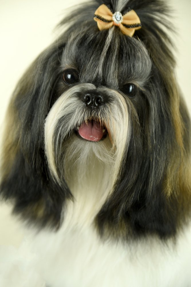 Photograph by наталья залогина