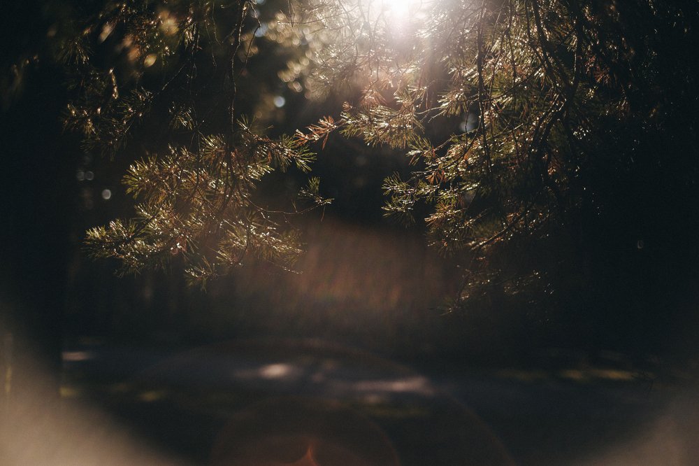 Photograph by Егор Лубягин