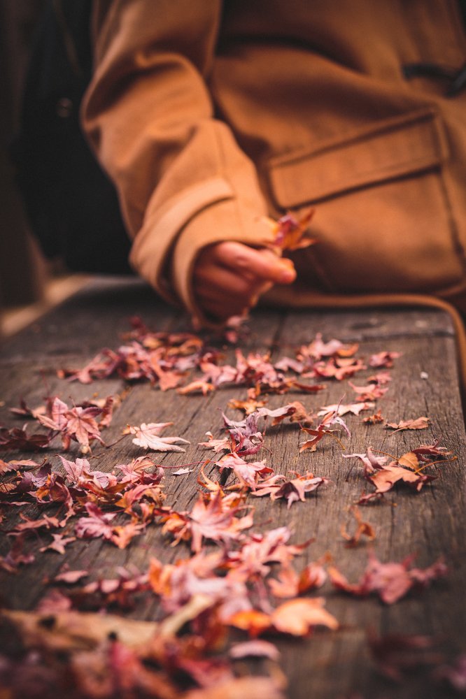 Photograph by ANH DUC